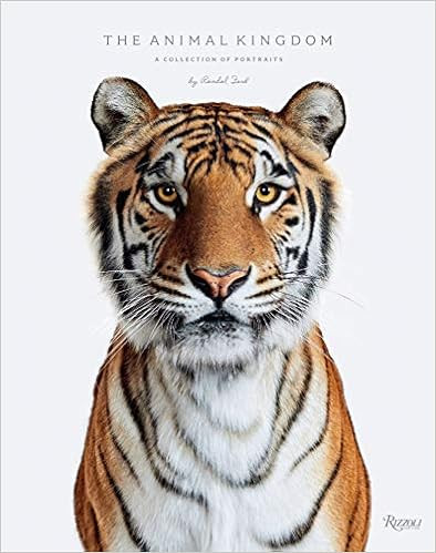 Animal Kingdom: A Collection of Portraits | Amazon (US)
