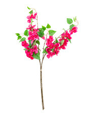 Set Of 2 35in Outdoor Safe Bougainvilleas Stems | Plants & Planters | Marshalls | Marshalls
