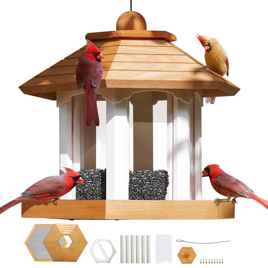 Large Gazebo Bird Feeders for Outside Clearance - Bird Feeder Kit for Adults to Build- Hanging Bi... | Amazon (US)