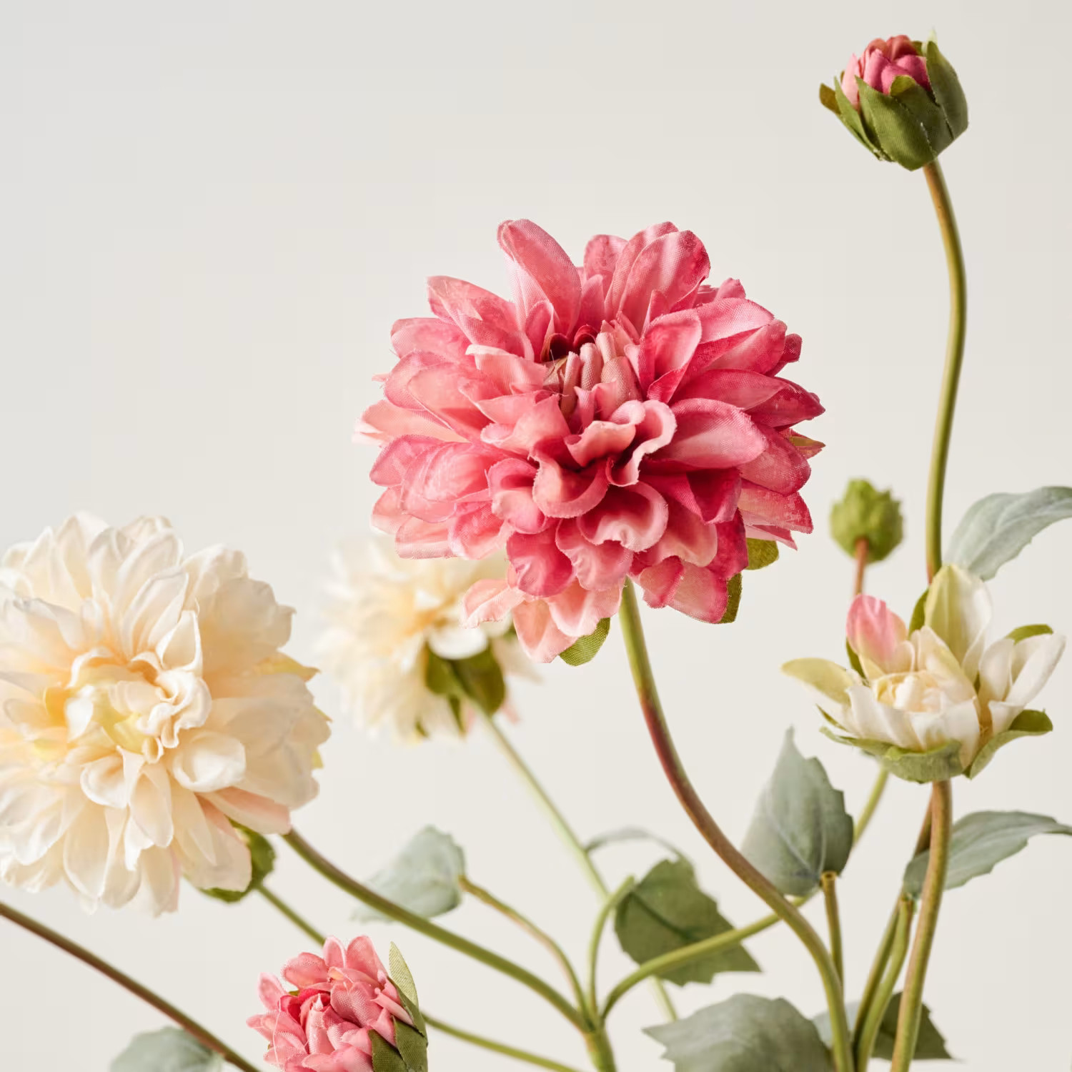 Rattan Vase + Dahlia Bundle Pairing | Magnolia