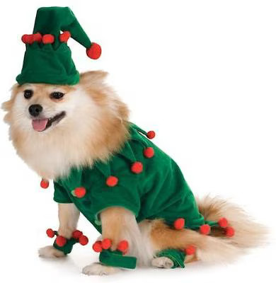 Rubie's Costume Company Elf Dog Costume, Large | Chewy