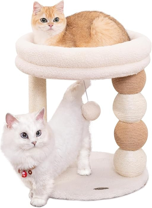 Small Cat Tree for Indoor Cats with Large Cozy Plush Top Perch, Natural Sisal Scratching Posts fo... | Amazon (US)