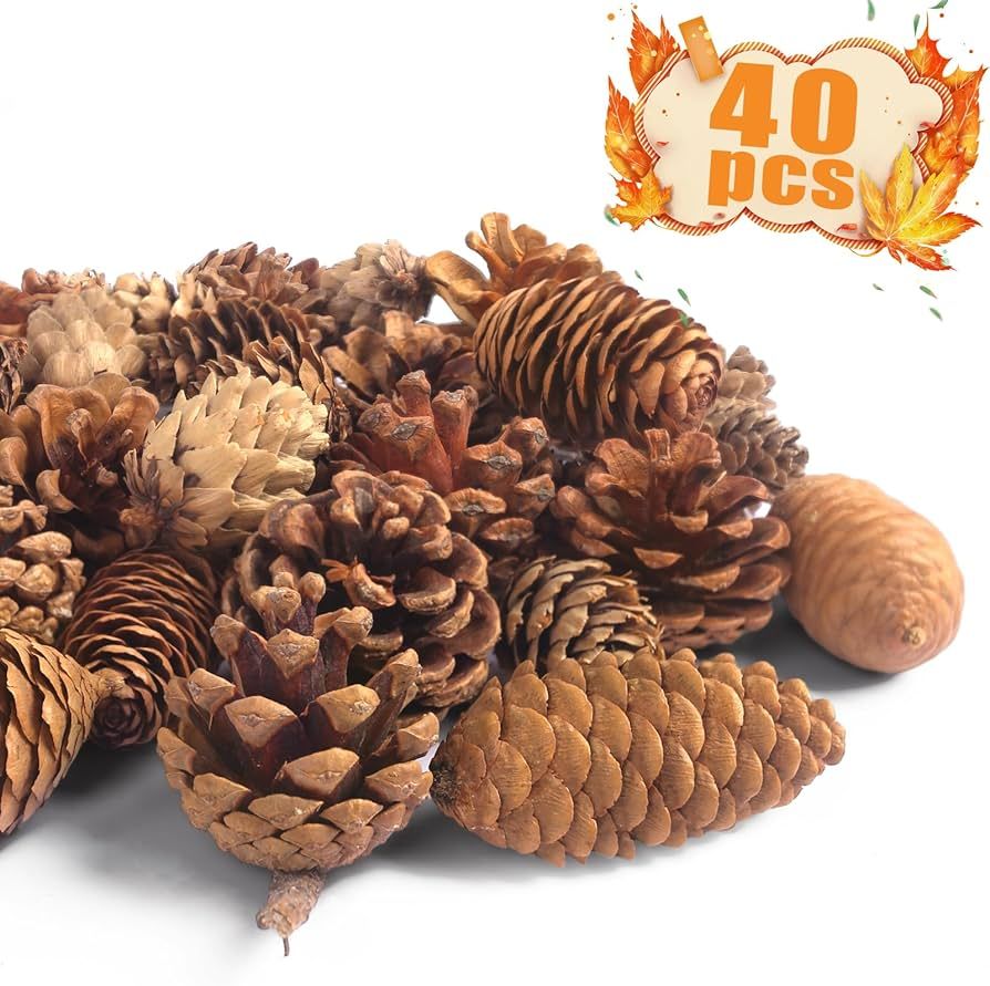 JOHOUSE 40PCS Natural Pine Cones Bulk, Pinecones Decorations Pine Cone Ornaments for Crafts Thank... | Amazon (US)