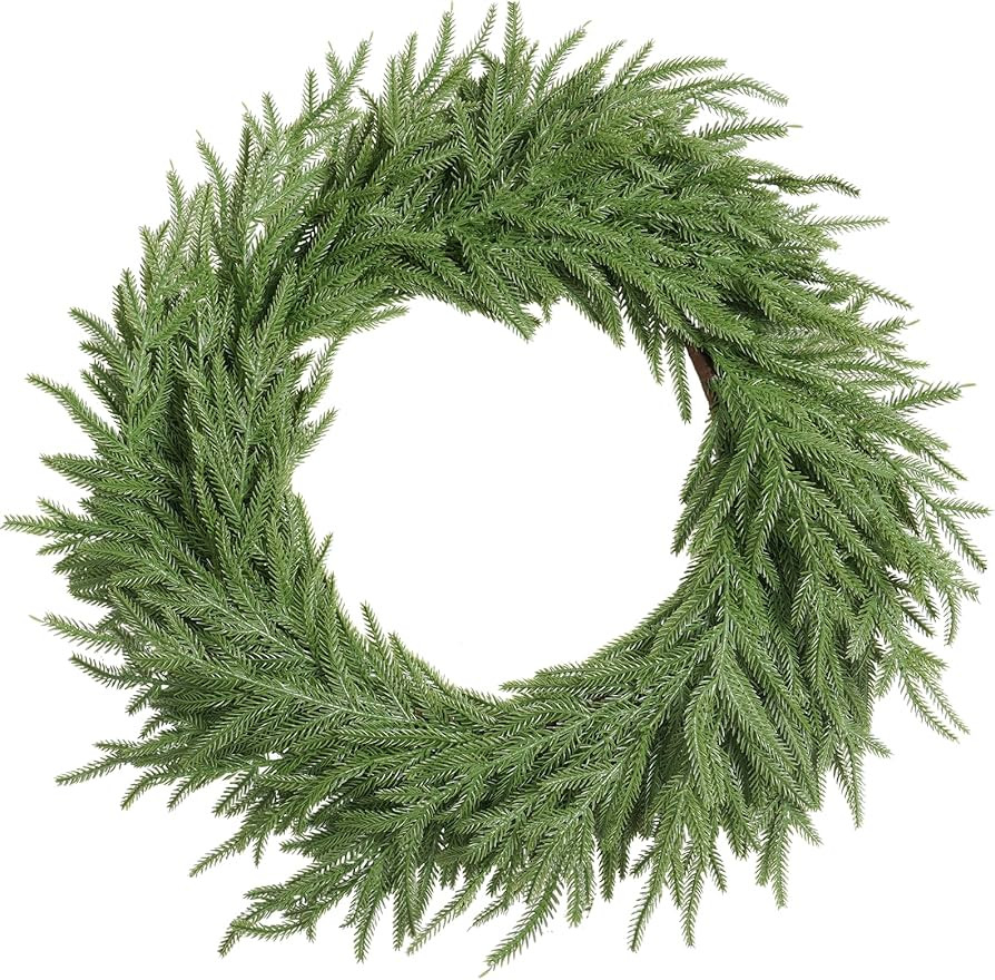 XmasExp Norfolk Pine Christmas Wreath-20Inch Real Touch Artificial Christmas Wreaths-Evergreen Re... | Amazon (US)