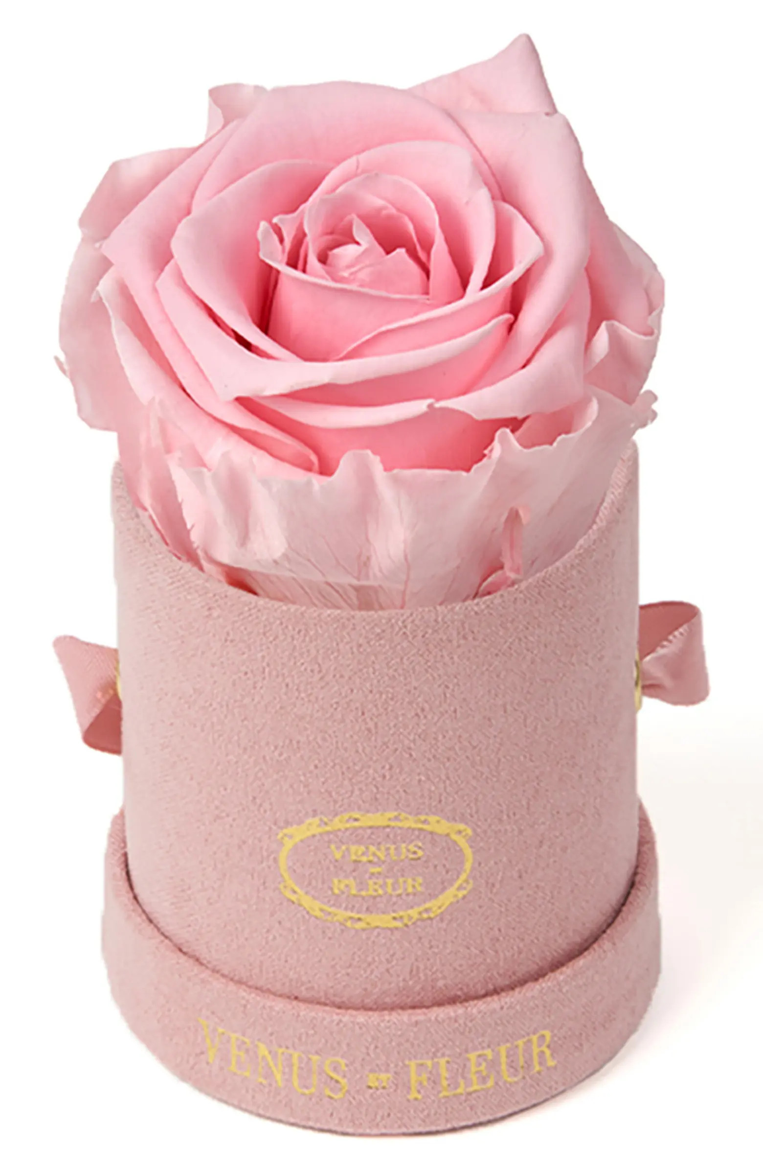 Venus ET Fleur Classic Le Mini™ Round Eternity Rose | Nordstrom | Nordstrom