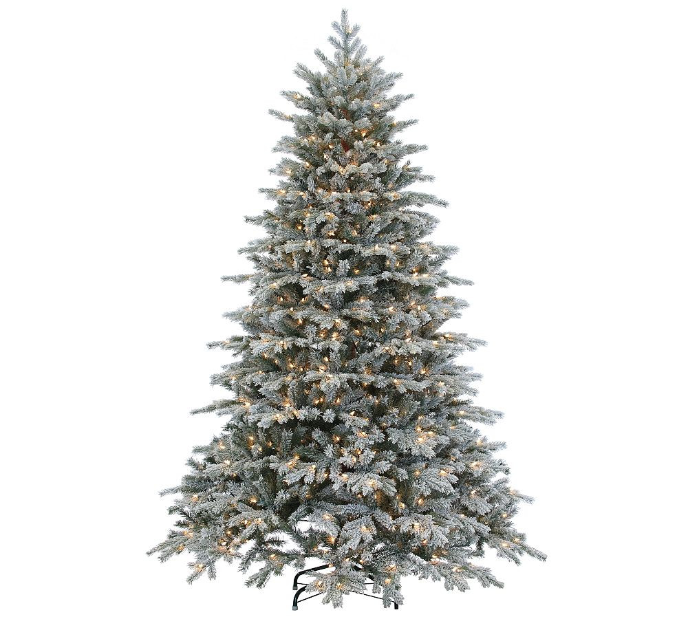 Natural Cut Winter Full Flocked Spruce | Pottery Barn (US)