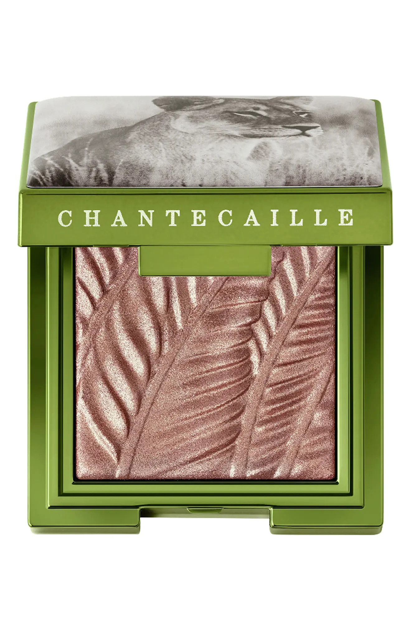 Chantecaille Luminescent Eye Shade (Women) | Nordstrom | Nordstrom