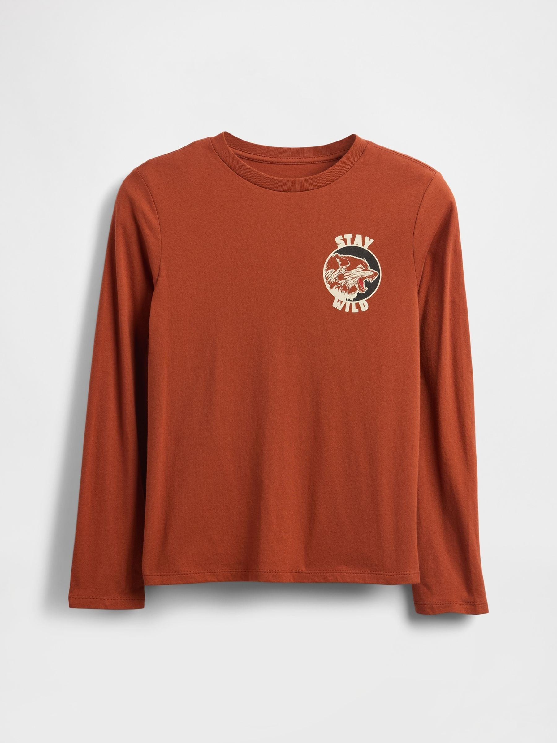 Orange 100% Cotton Long Sleeve Graphics T-Shirt | Gap | GAP UK
