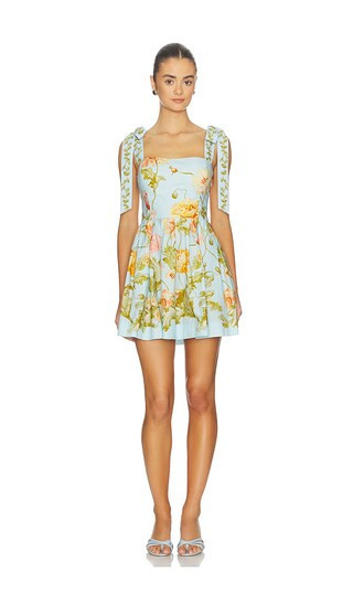 Cara Cara Tula Mini Dress in Baby Blue. - size 4 | Revolve Clothing (Global)
