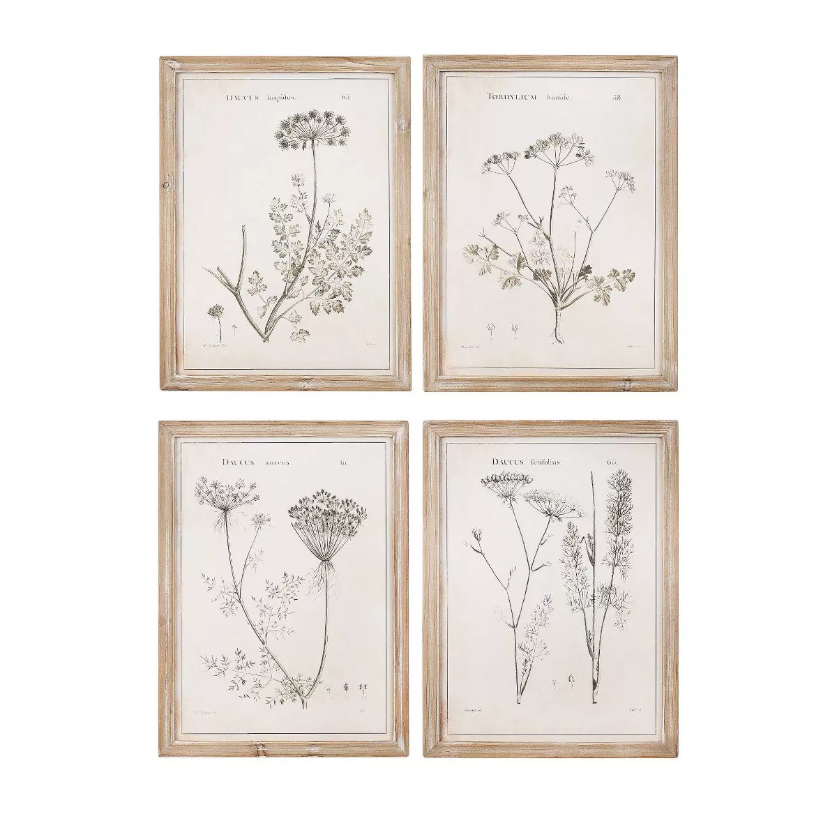 17.7" x 23.6" (Set of 4) Styles Vintage Botanical Printed Framed Wall Art Brown - 3R Studios | Target