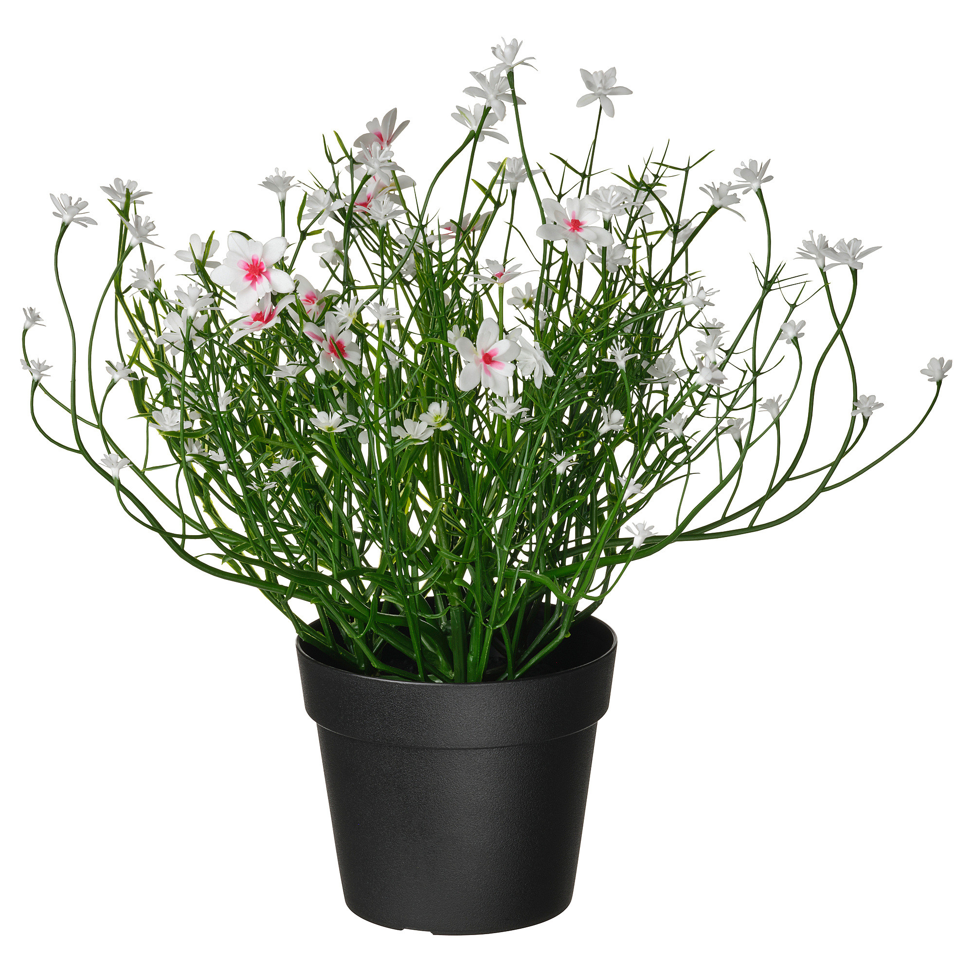FEJKA Artificial potted plant, indoor/outdoor/Baby’s breath white, 3 ½ " | IKEA US