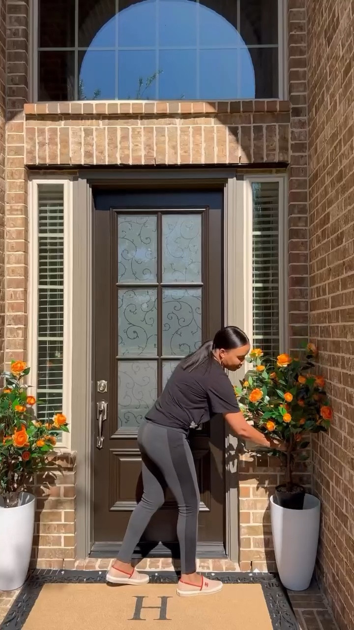 Refresh your outdoor patio with these items 

#LTKActive #LTKHome #LTKSaleAlert