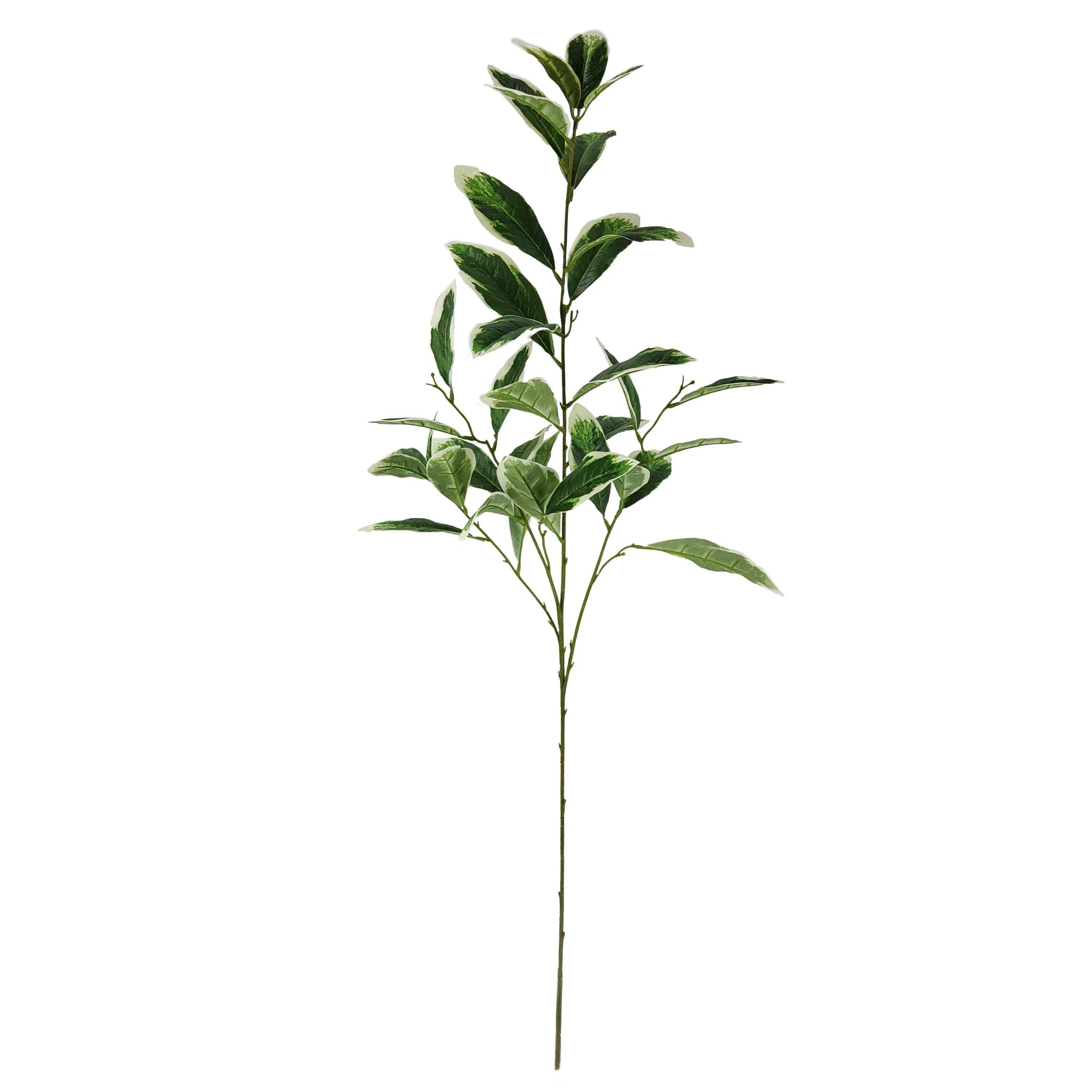 Mainstays 40.5" Indoor Artificial Foliage Stem, Peperomia, Green and White Color. | Walmart (US)