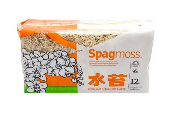 150g Long Fiber New Zealand Sphagnum Moss  Spagmoss | Etsy | Etsy (US)