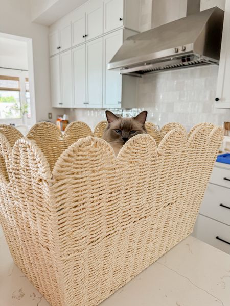 Grabbed this scalloped basket for stuffies but someone else has a different idea...

#LTKFamily #LTKHome #LTKKids