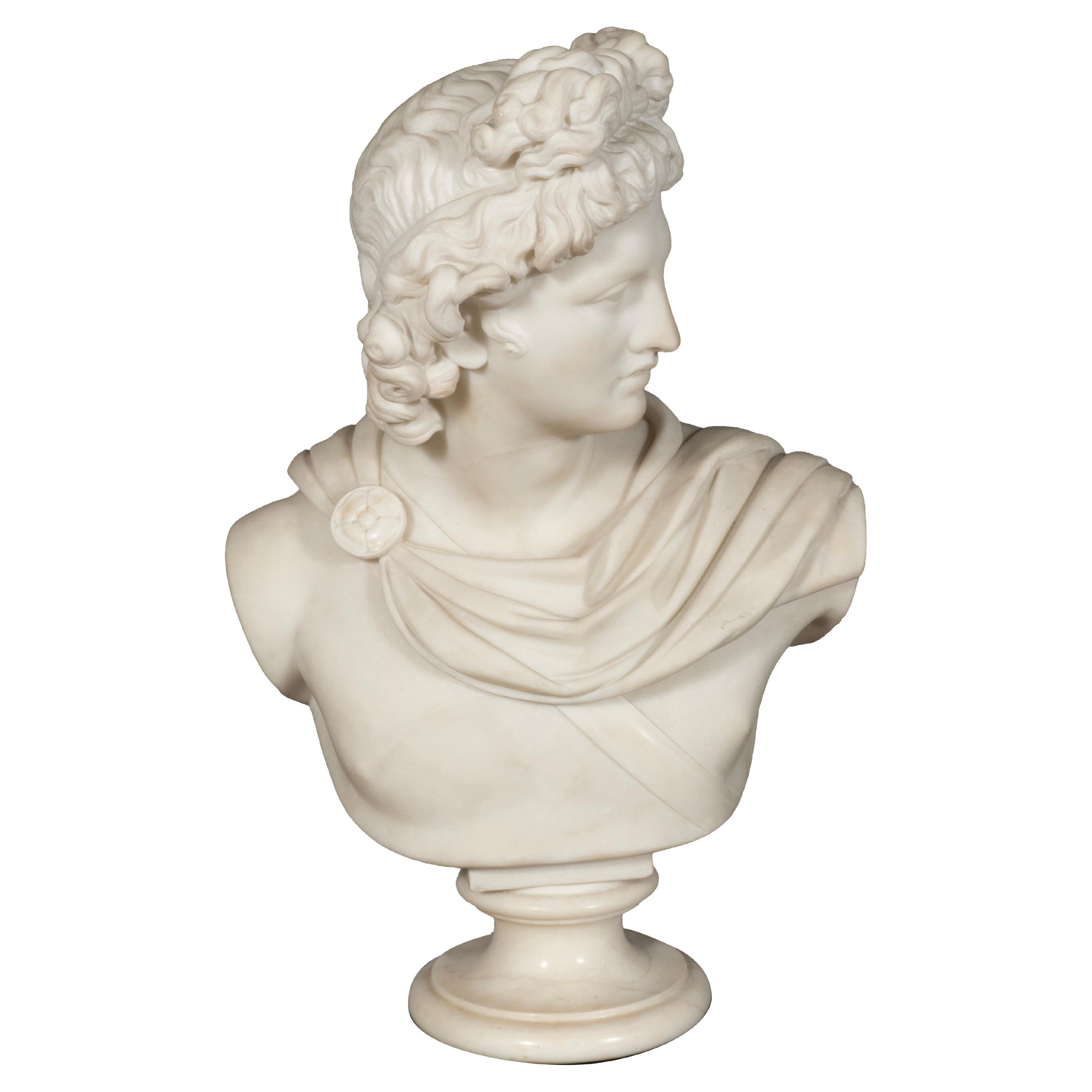 Italian Carrara Marble Bust Of The Apollo Belvedere | 1stDibs