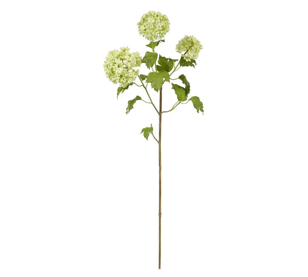 Faux Snowball Dozen Stems | Pottery Barn (US)