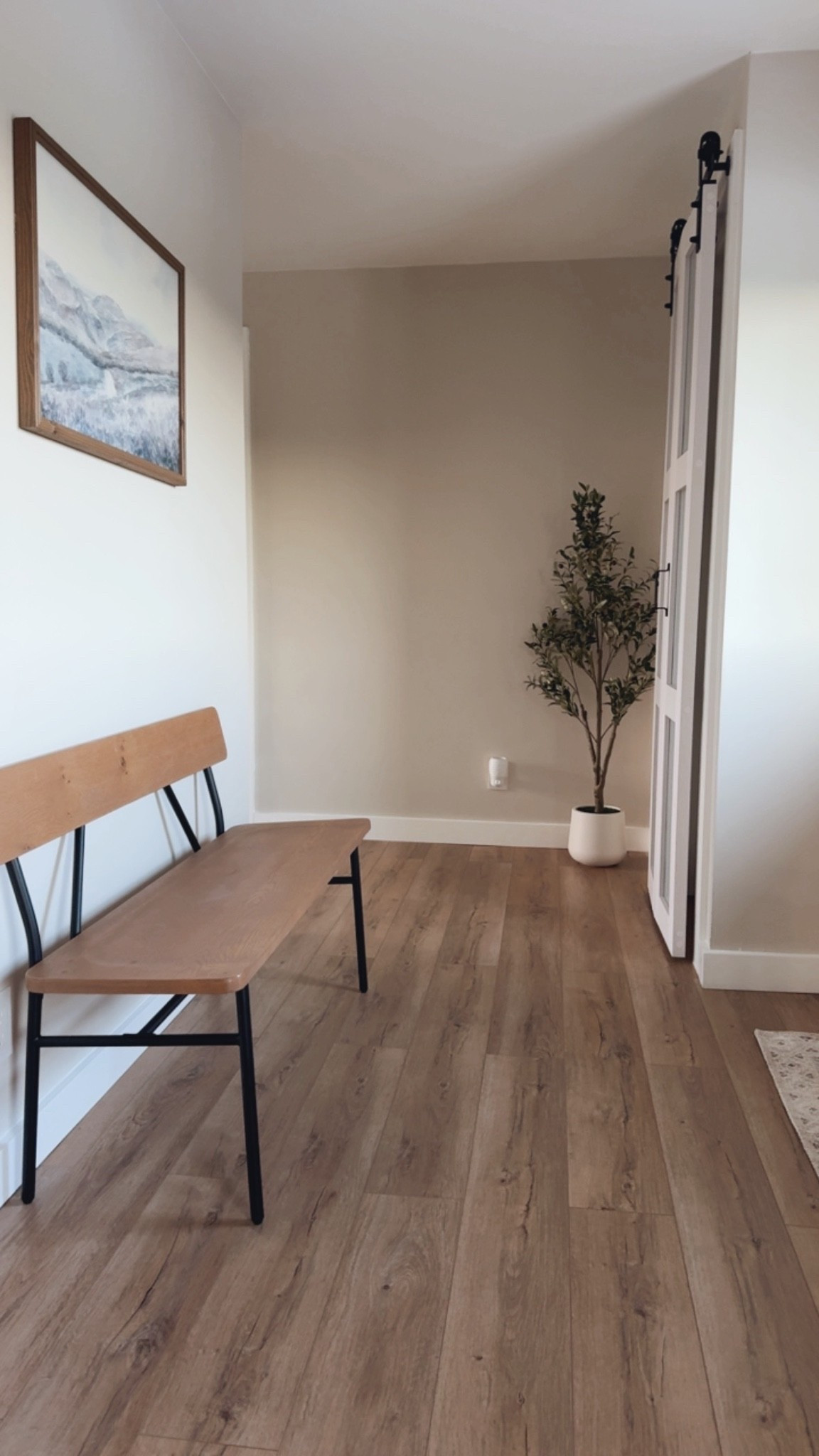 Added a plant to this corner! Love how it fits the space!

Olive tree, home decor, entryway, neutral decor, minimal, minimalist, minimalish

#LTKHome