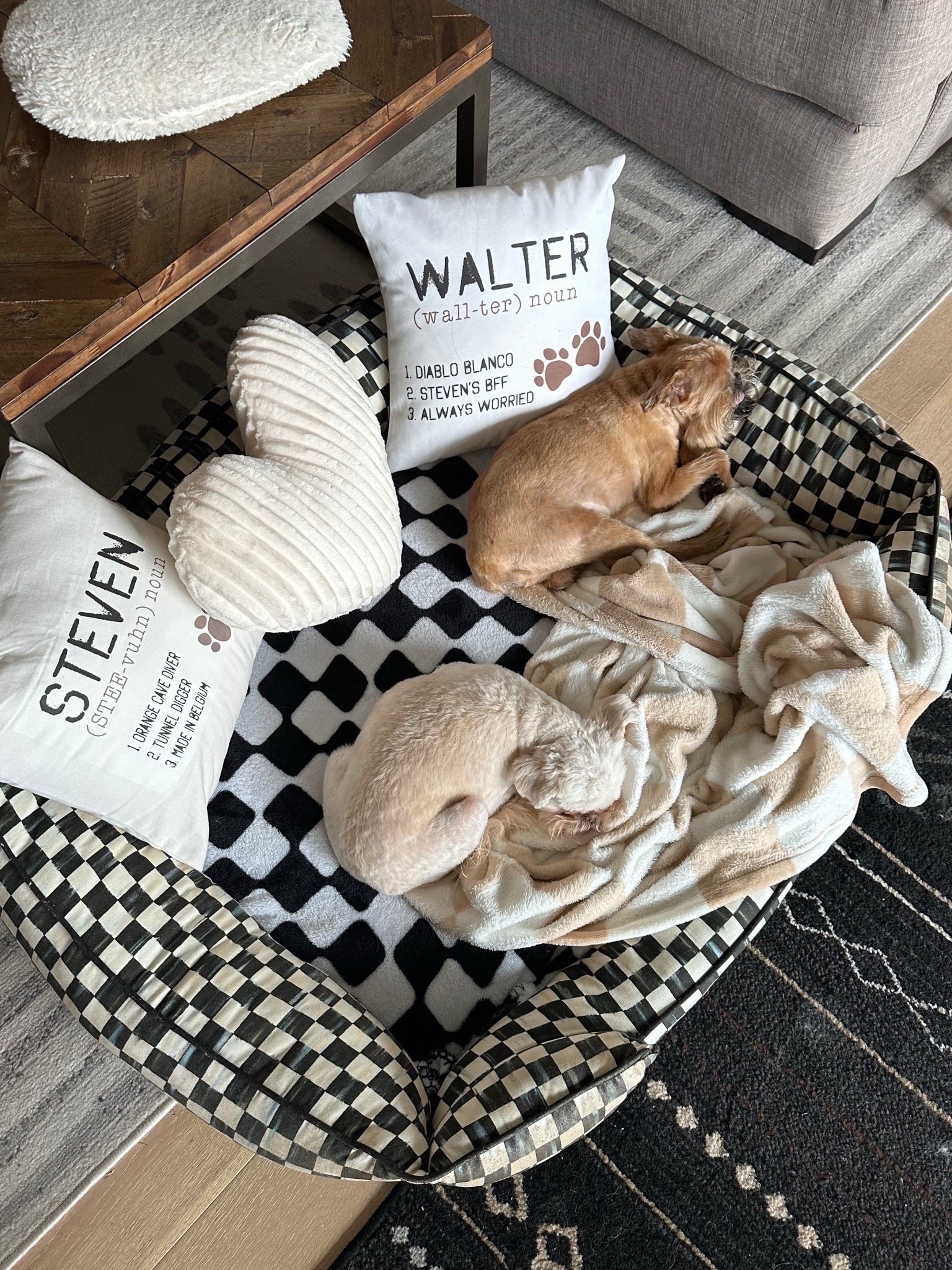 The boys dog beds are 20% off with code DTKAUSTIN20! the MacKenzie-Childs code is valid until 12/14!

#LTKGiftGuide #LTKHoliday #LTKHome