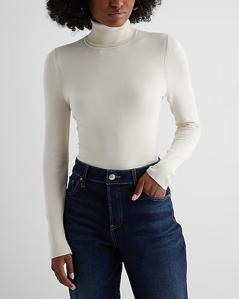Silky Soft Fitted Turtleneck Sweater | Express