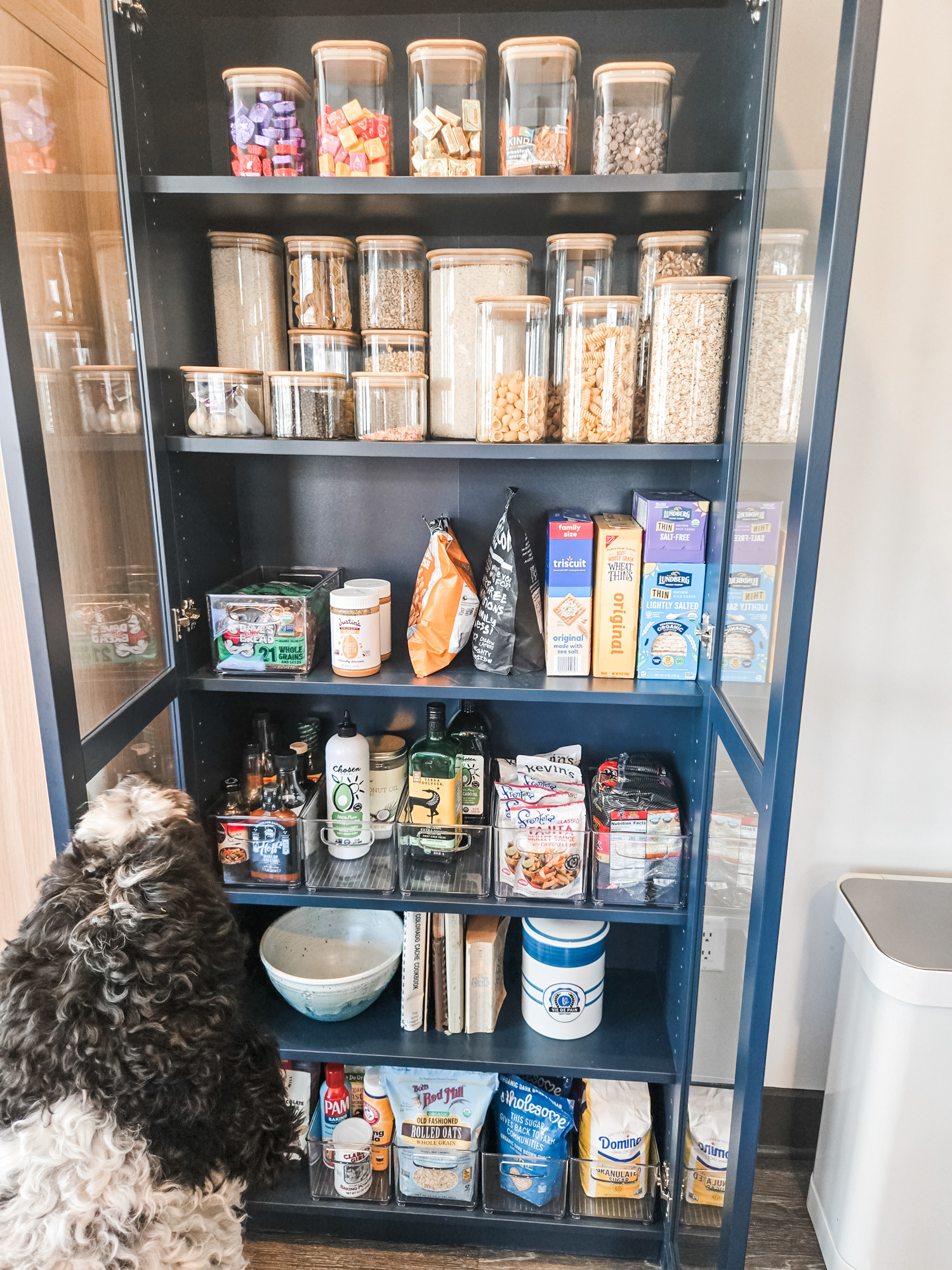 We love it when our clients admire our organizing work and, while this is not the specific client we designed this space for, we appreciate the interest! 🐶

Our sweet client had moved into a small rental apartment without much in the way of pantry space so adding this Ikea Billy bookcase with glass doors worked out really well! The shallow depth of the cabinet fit perfectly in the small space we had to work with, leaving plenty of walk way as well as space for Einstein to admire the contents. 

 