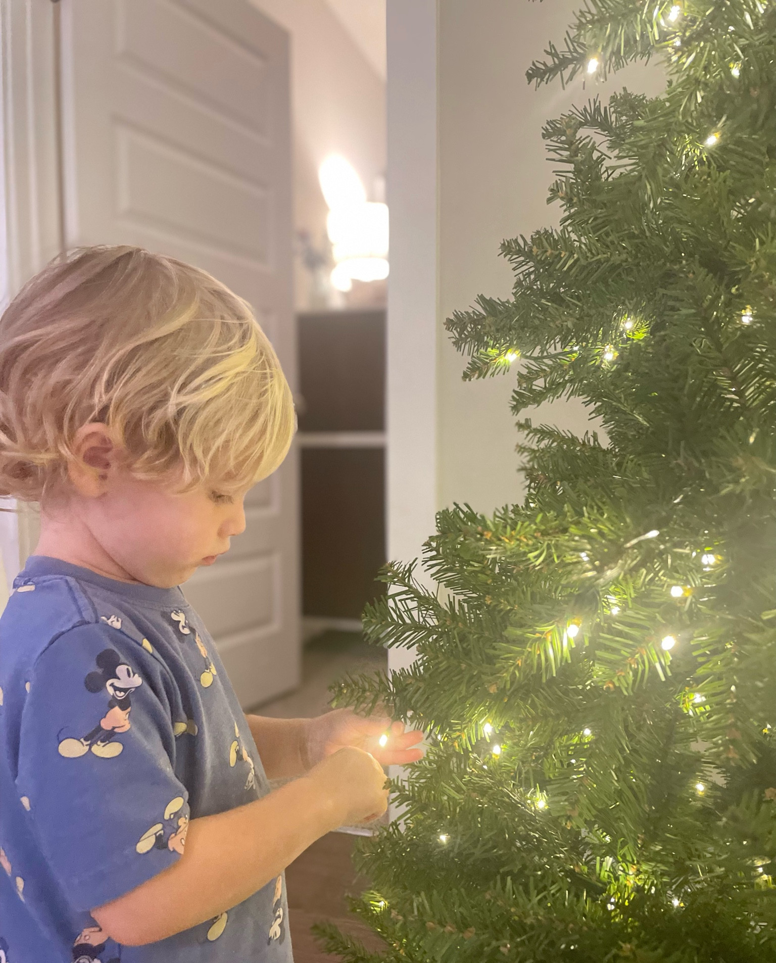 Pre lit beautiful King of Christmas Christmas Tree!!!! So gorgeous, linked some of my favorite Christmas ornaments & this cute Mickey Mouse shirt. 

#LTKhome #LTKfamily #LTKHoliday