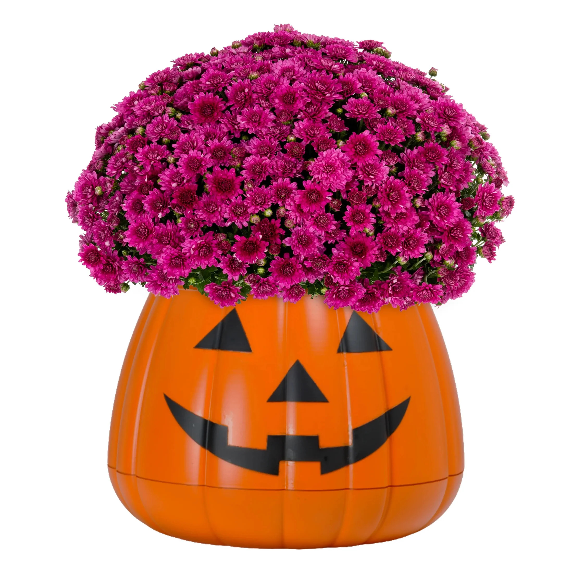 Purple | Walmart (US)