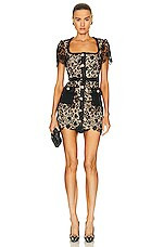 Guipure Lace Mini Dress | FWRD 