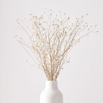 Dried Flax Bunch | West Elm | West Elm (US)