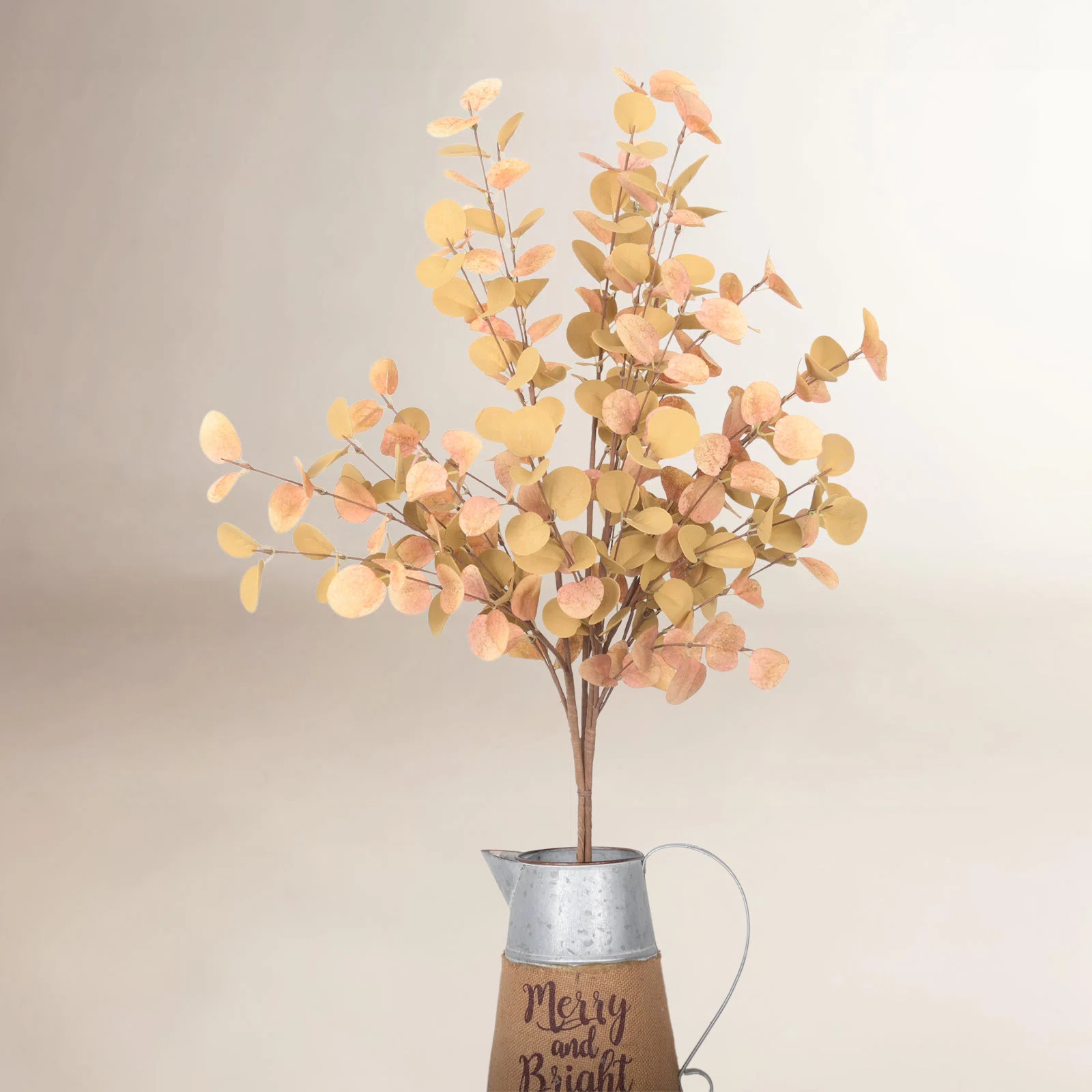 Eucalyptus Floral Stems | Joss & Main