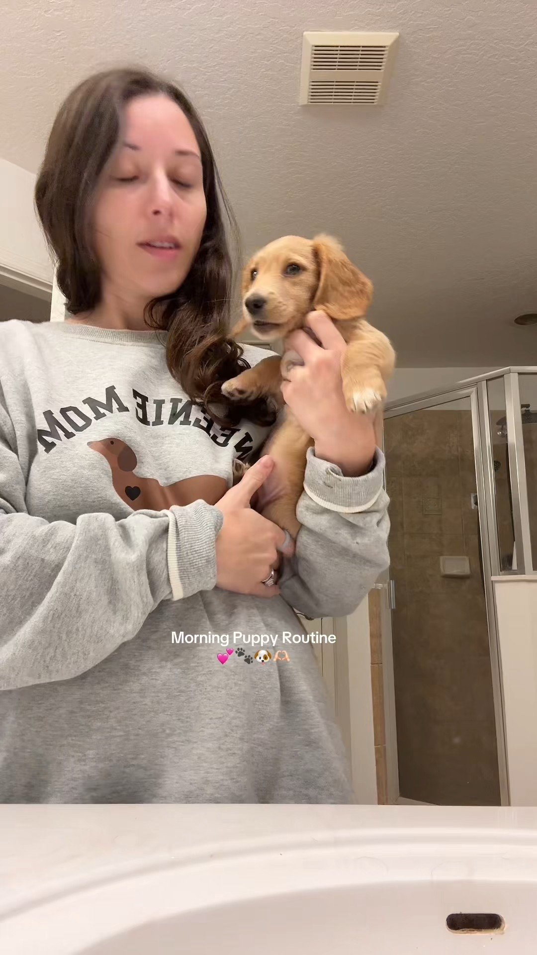 Morning Doxie routine with 10 week old puppy 

Dogs, pets, dog toy 

#LTKFindsUnder50 #LTKGiftGuide #LTKmorningroutine