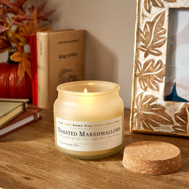Toasted Marshmallows Frosted Candle | Dunelm