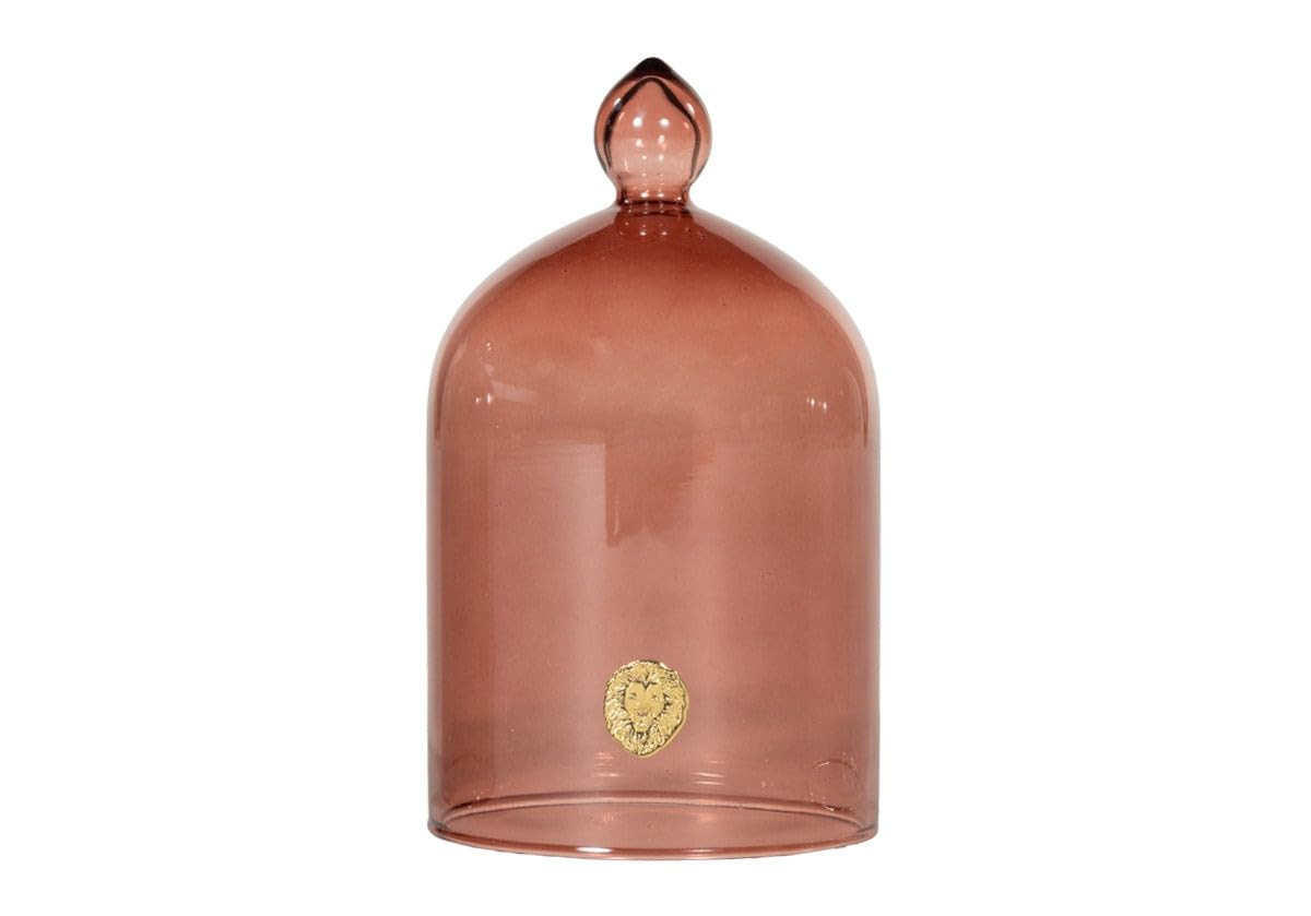 Alice Lane Glass Cloche – Clear Glass Dome Display Case for Home Decor, Centerpieces, Candles, ... | Amazon (US)