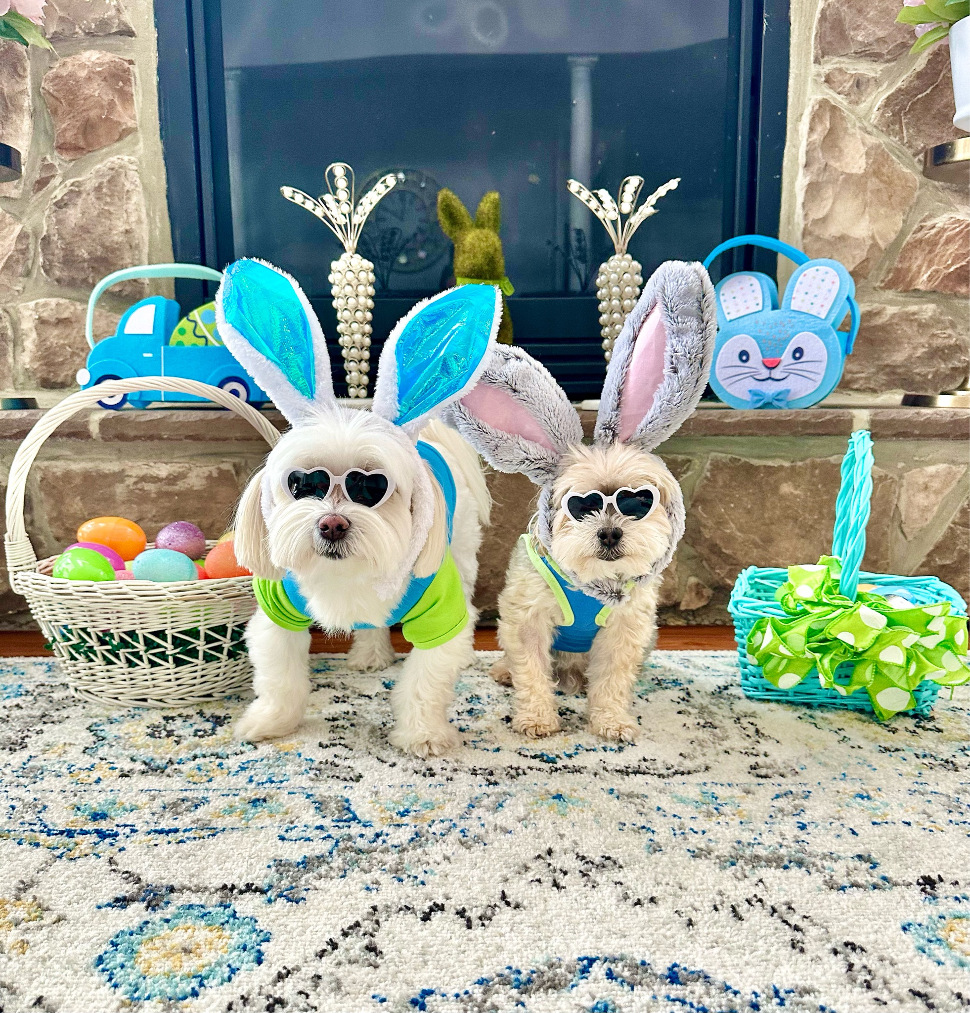 Hoppy Easter! 

#LTKsalealert #LTKSeasonal