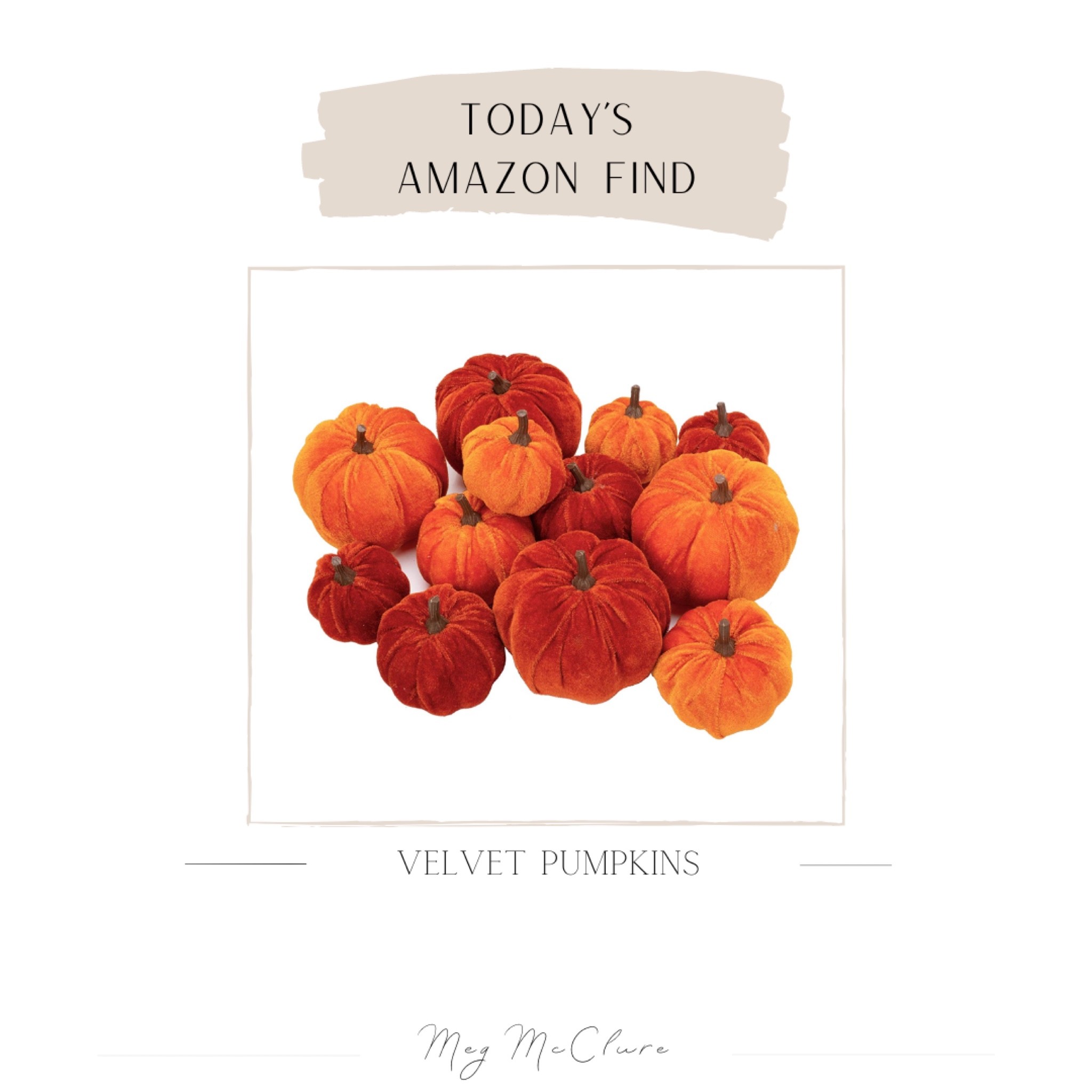Today’s Amazon Find | Velvet Pumpkins 🍂🎃

#amazonfinds #amazonoutfits #amazondresses #amazonfallfinds  #amazon #amazonfashion #amazonhome #fallhomedecor #falldresses #falldress #falloutfits #falloutfits2022 #fall2022 #falldecor #fallfashion #pumpkins #fallinspo #homedecor #thanksgivingdecor #artificialpumpkins #halloween 

#LTKfamily #LTKSeasonal #LTKhome