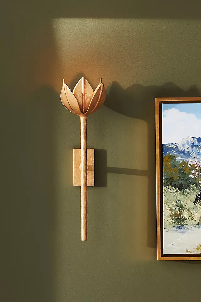 Alberto Sconce | Anthropologie (US)