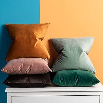 JUSPURBET Velvet Throw Pillow Covers for Sofa Couch Bed,Decorative Soft Pillow Cases Set of 2,26x... | Amazon (US)