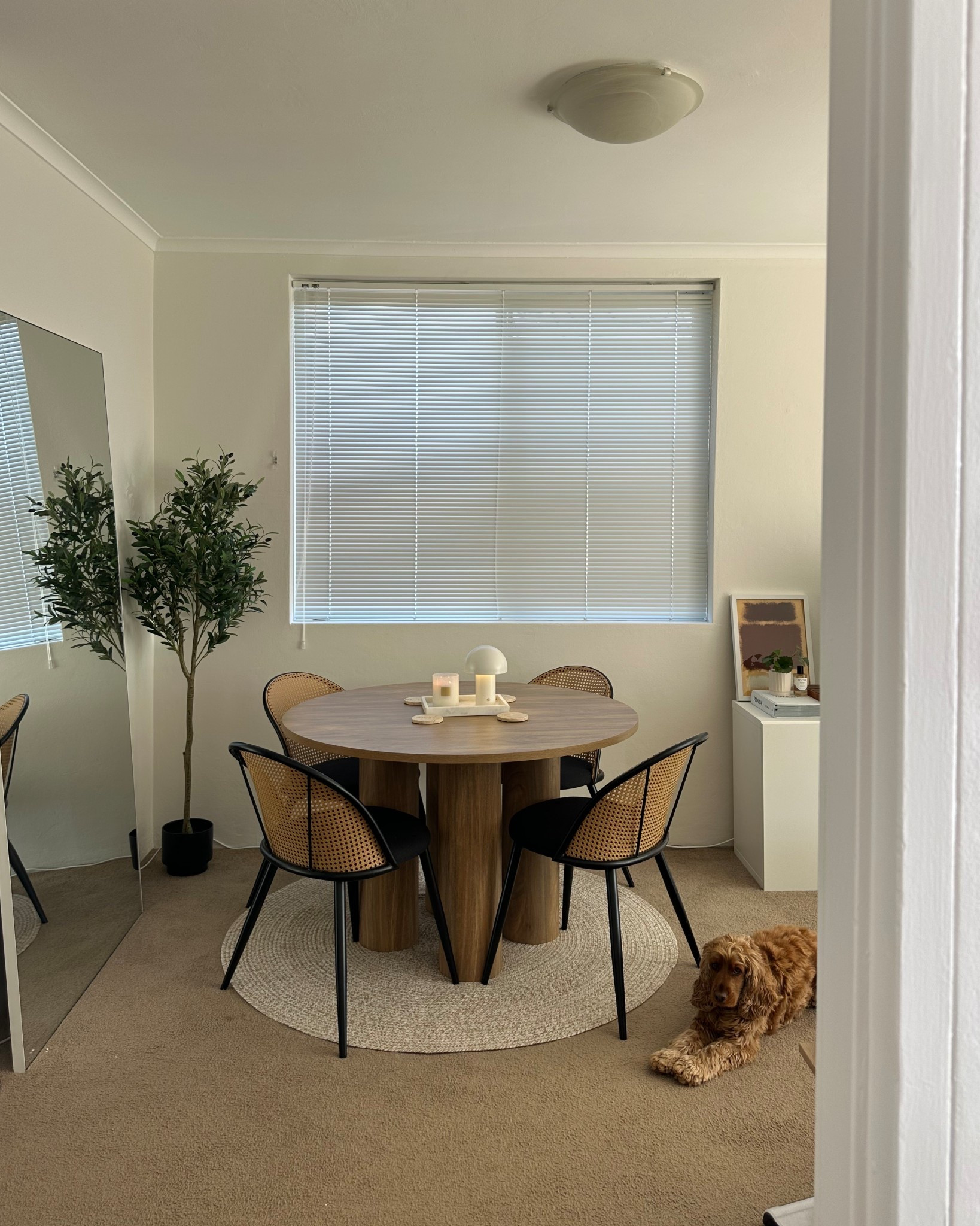 Home 💡 (table and chairs are from Mocka. ) I’ve listed similar styles/inspiration 

#LTKhome #LTKaustralia