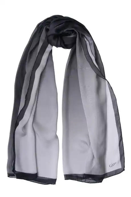 Satin Border Silk Chiffon Scarf | Nordstrom