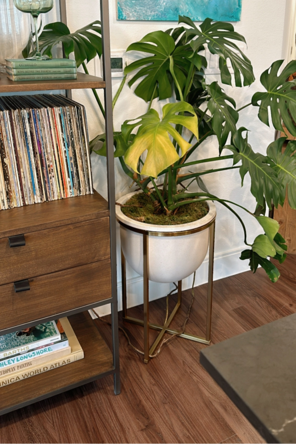 Planter 


#LTKHome