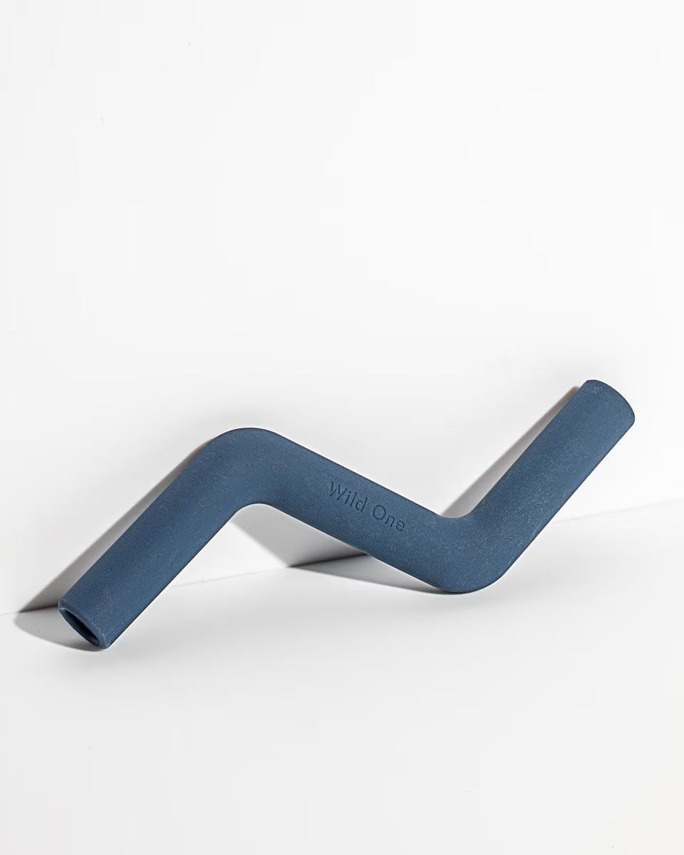 Wild One Bolt Bite Dog Chew Toy, Blue | Chewy.com