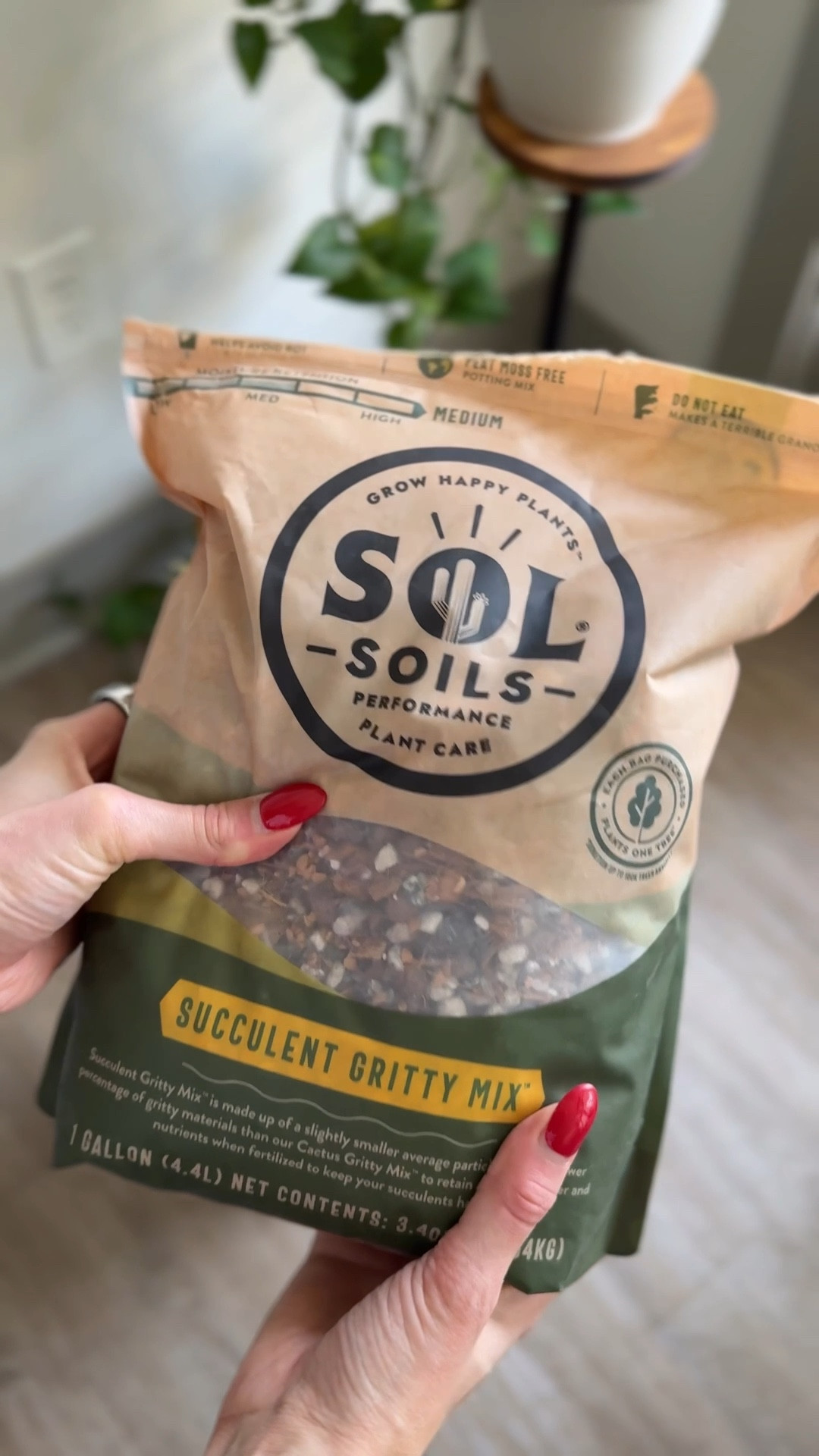 I am so ready for spring and so are my plants thanks to @solsoils 🌱

They make houseplant care super easy. Highly recommend 👏🏼 #solsoils 

#LTKSeasonal #LTKHome #LTKSpringSale