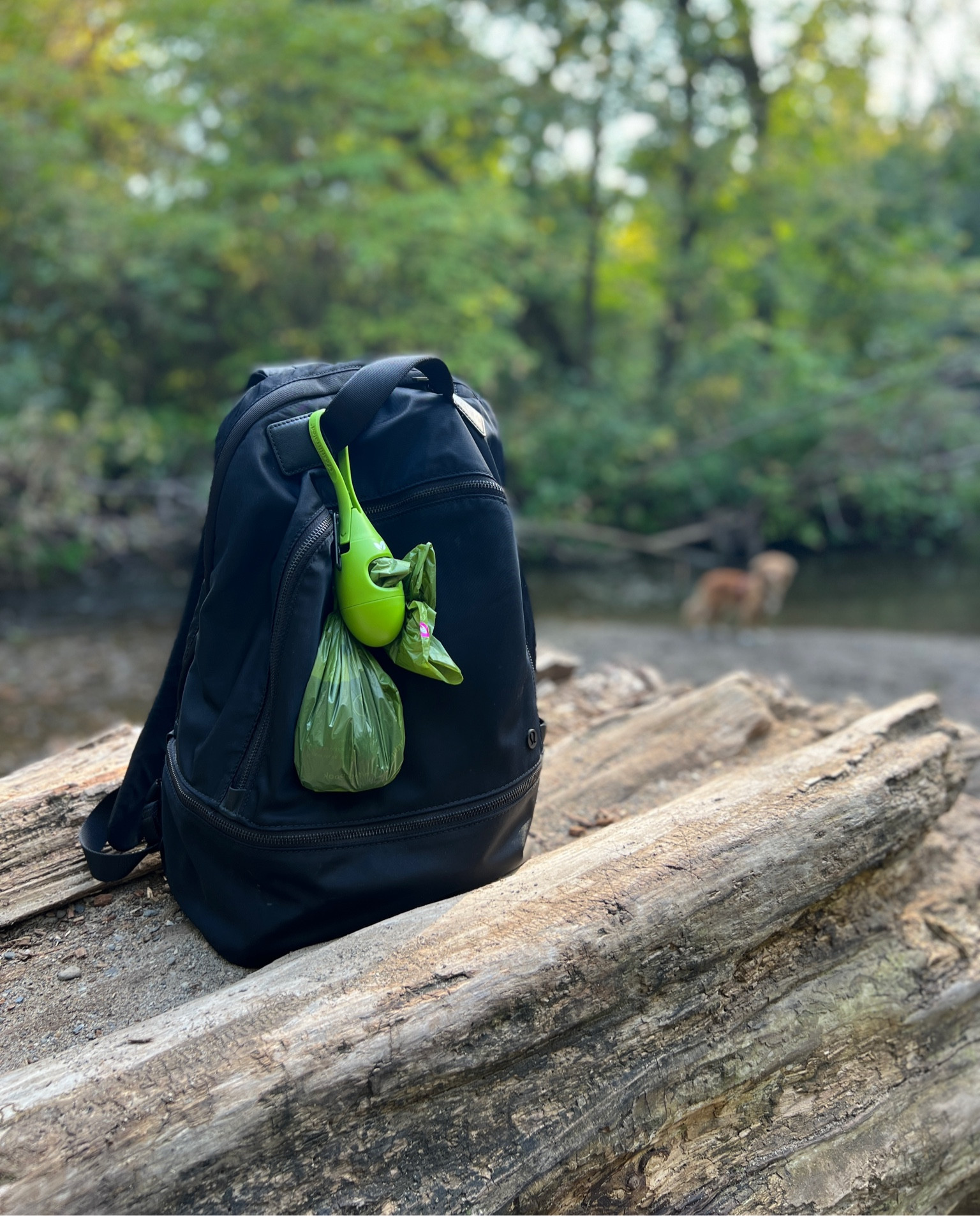Hands-free hiking hack! 

#LTKunder50 #LTKtravel