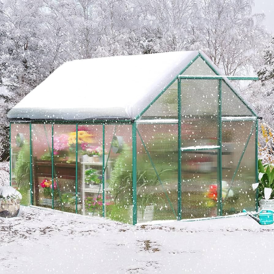 Polycarbonate Greenhouse Kit, 10x6 ft Heavy Duty Outdoors Durable Green House with Double Vent Wi... | Amazon (US)