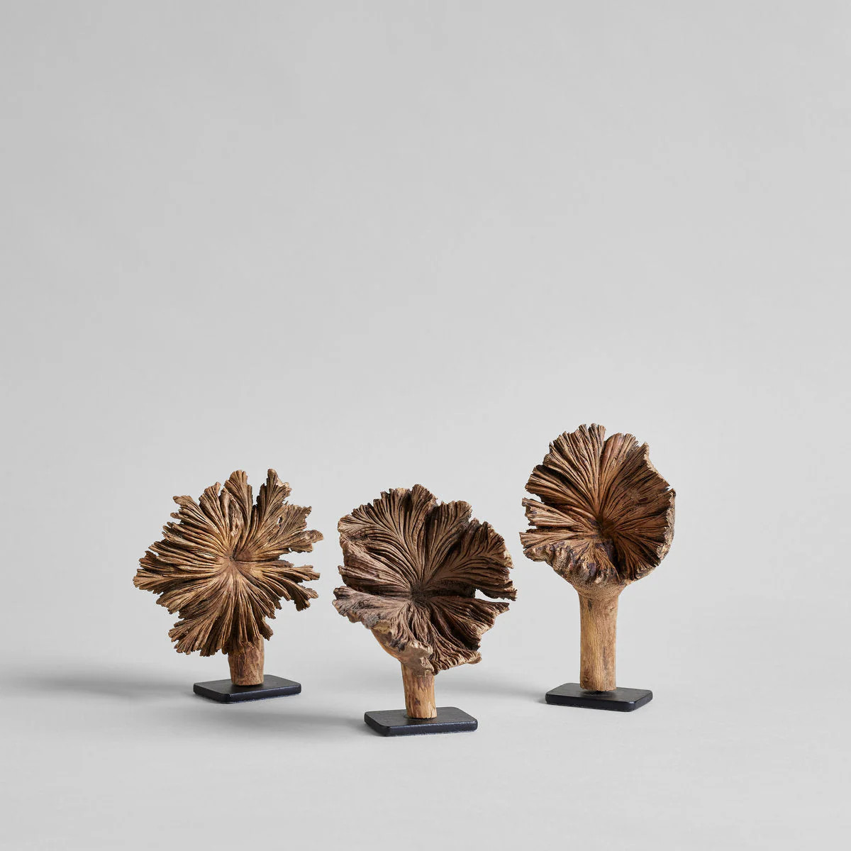 Small Wood Flower on Stand | Bloomist | Bloomist, Inc