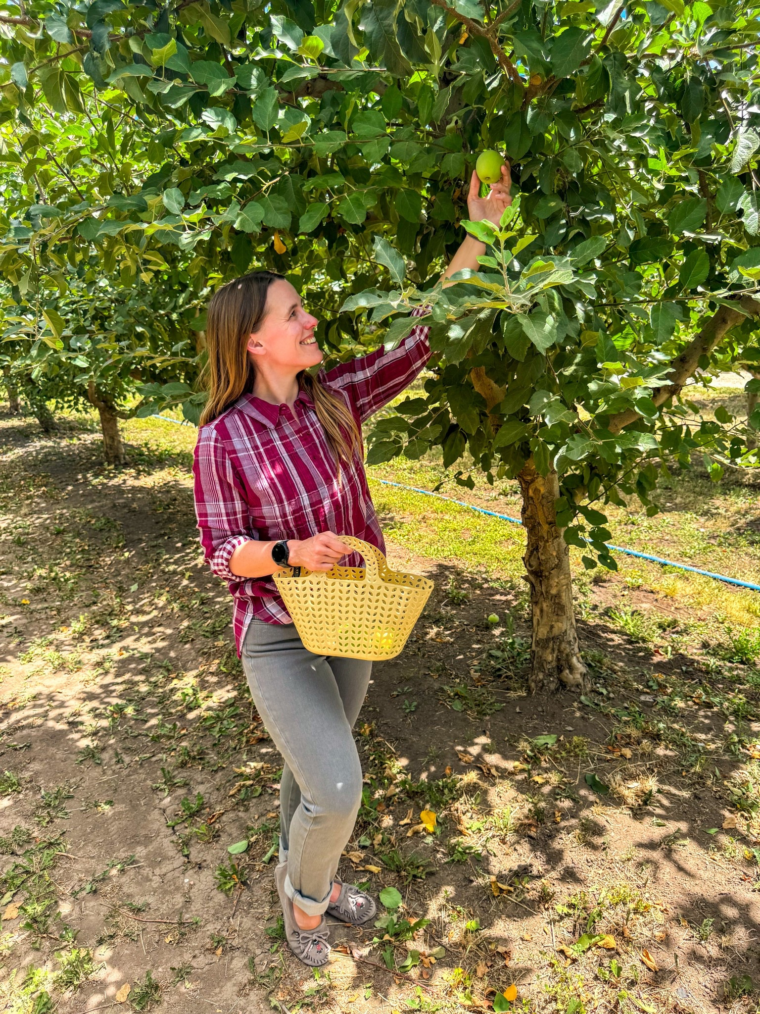 (AD) What’s your favorite fall activity?✨🍂🍏

While I love a good fall hike through the foliage, there’s just something about going apple or pumpkin picking that feels so cozy and nostalgic.🎃

Regardless of your activity of choice, Coldwater Creek’s new fall collection has versatile pieces that are perfect for layering and making the most out of the season.🍁

Sizing:
Top: XS (runs large)
Pants: 4 (runs large)

#ColdwaterCreekStyle #MyColdwater #LTKFallLooks 

#LTKStyleTip #LTKautumn #LTKSeasonal