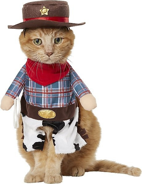 Frisco Front Walking Cowboy Dog & Cat Costume | Chewy.com