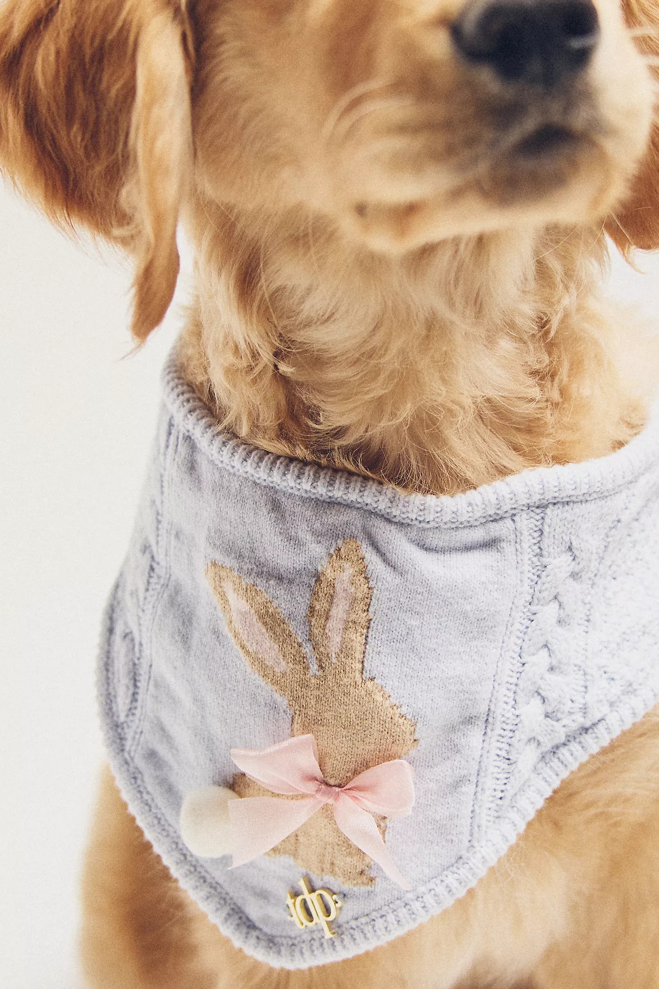 The Deluxe Pup Easter Bunny Pet Bandana | Anthropologie (US)