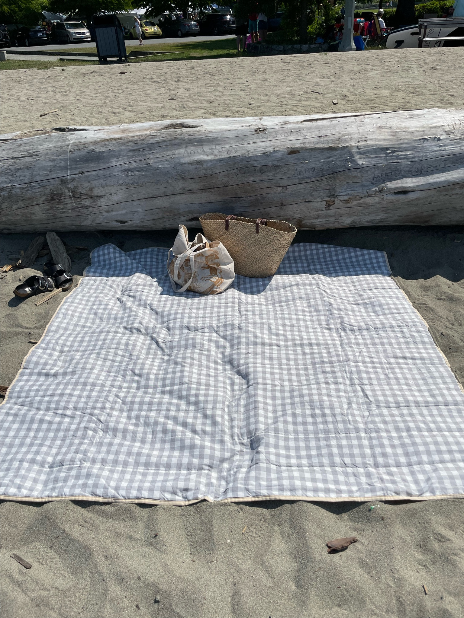 Large picnic blanket. Also perfect at the beach  
Target find. 

#LTKFind #LTKSeasonal #LTKfamily