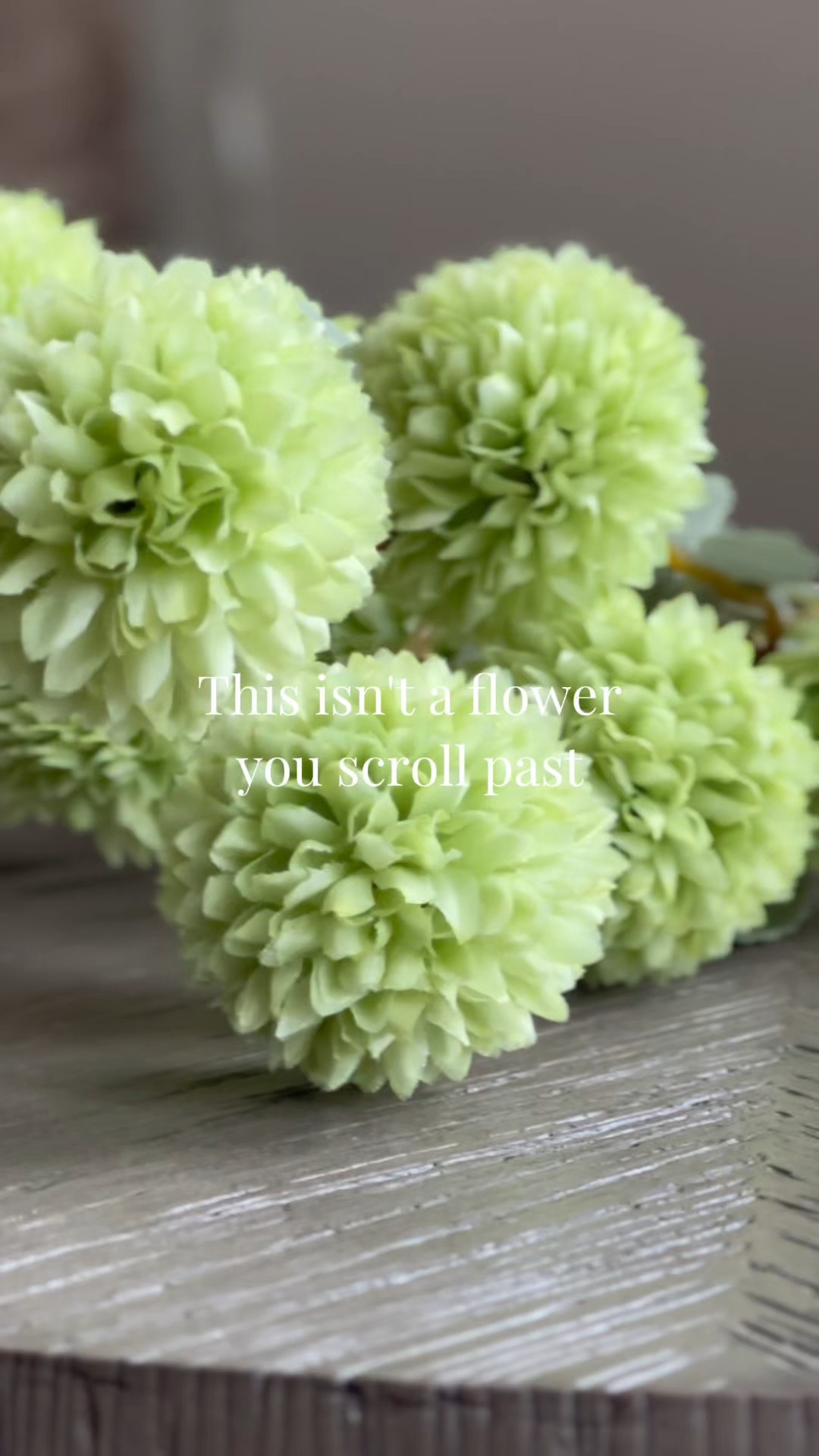 These stems are trending for spring. Texture-first decor is the 2026 shift. Linked for anyone doing an organic refresh.

#LTKFindsUnder50 #LTKSaleAlert #LTKHome